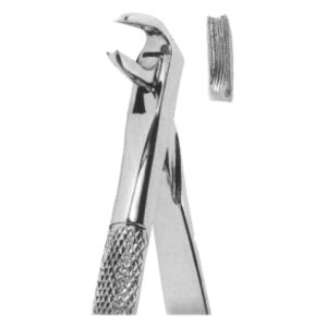 Premium Extracting Forceps (English Pattern) – High-Grade Stainless Steel for Precise Dental Extractions – Fig. 169 (Lower Canines)