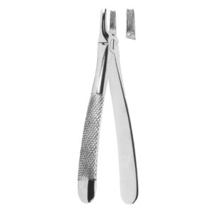 Premium Extracting Forceps (English Pattern) – High-Grade Stainless Steel for Precise Dental Extractions – Fig. 168 (Upper Canines)
