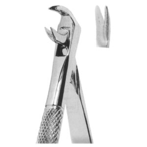 Premium Extracting Forceps (English Pattern) – High-Grade Stainless Steel for Precise Dental Extractions – Fig. 167