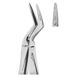 Premium Extracting Forceps (English Pattern) – High-Grade Stainless Steel for Precise Dental Extractions – Fig. 151.5 (Upper Roots)