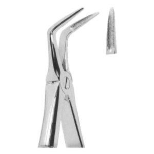 Premium Extracting Forceps (English Pattern) – High-Grade Stainless Steel for Precise Dental Extractions – Fig. 145 (Lower Roots)