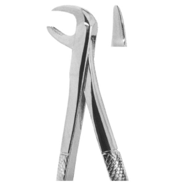 Premium Extracting Forceps (English Pattern) – High-Grade Stainless Steel for Precise Dental Extractions - Fig. 99 (Broken-down Lower Molars)