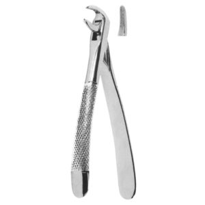 Premium Extracting Forceps (English Pattern) – High-Grade Stainless Steel for Precise Dental Extractions – Fig. 74N (Lower Roots)