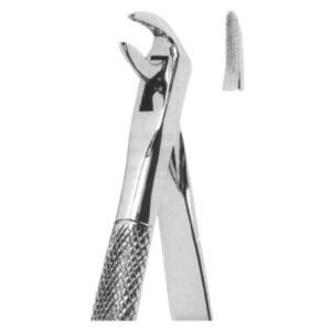 Premium Extracting Forceps (English Pattern) – High-Grade Stainless Steel for Precise Dental Extractions – Fig. 74M (Lower Roots)